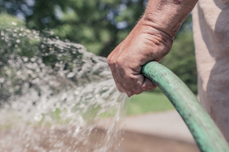 jardinerie-VINON SUR VERDON-min_garden-hose-413684